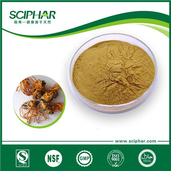 <b>Cordyceps Militaris powder     </b>