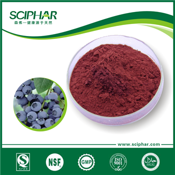 Bilberry Powder