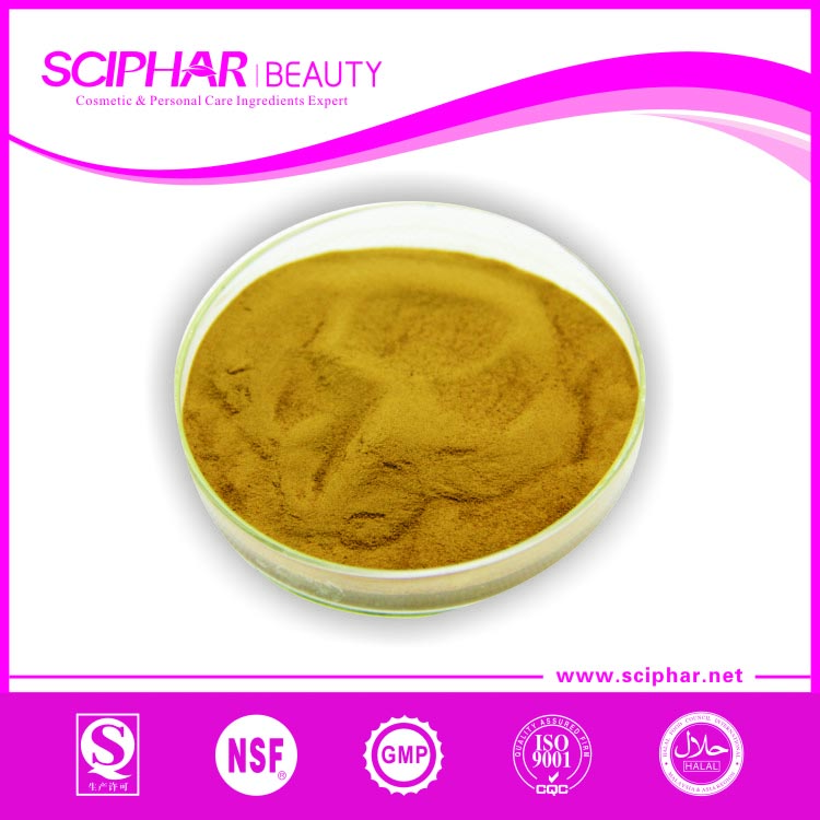 Loquat Leaf Extract