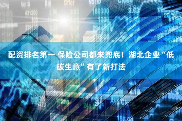 配资排名第一 保险公司都来兜底！湖北企业“低碳生意”有了新打法